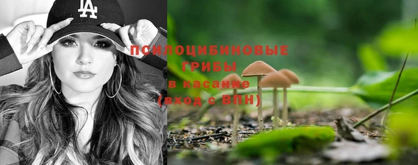 молекула духа Беломорск