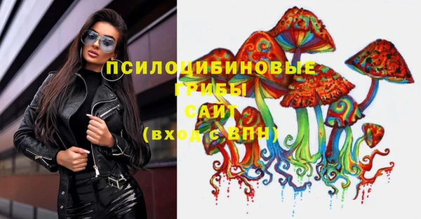 тгк Белокуриха