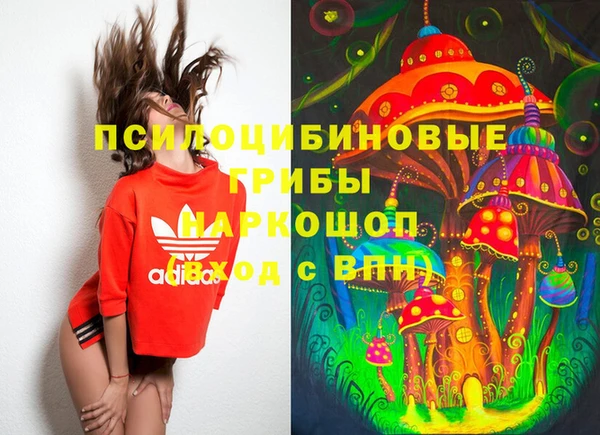 молекула духа Беломорск