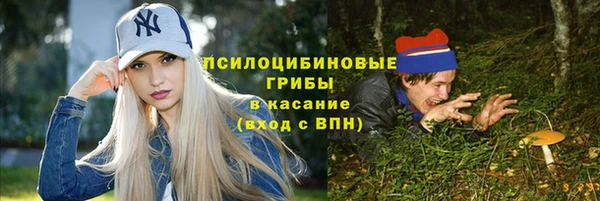 тгк Белокуриха